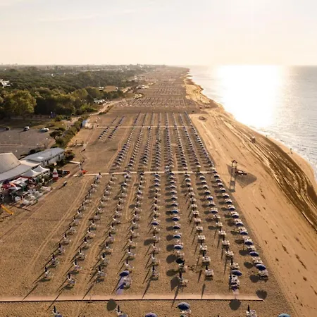 Tranquil Steps From The Shore *